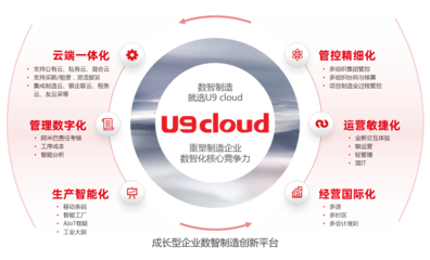 軟件產品的互聯網銷售 策略、優勢與挑戰